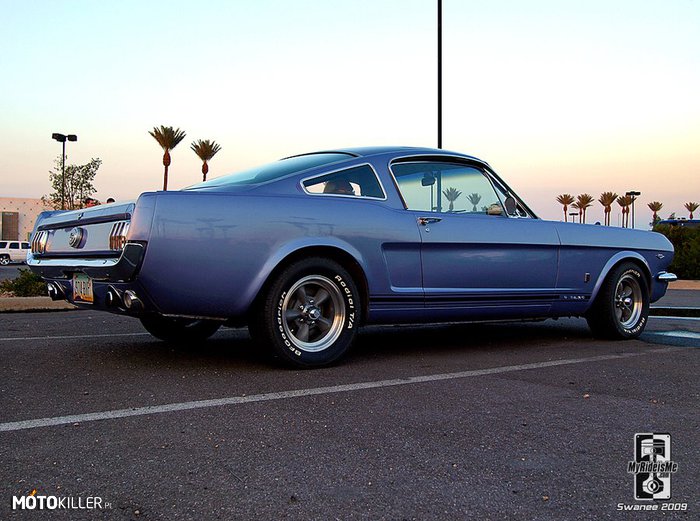 Mustang o poranku –  