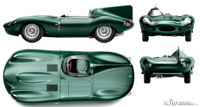 Jaguar D type – Jaguar D-Type – samochód osobowy produkowany przez brytyjską firmę Jaguar Cars w latach 1954–1957. Dostępny jako 2-drzwiowy roadster. Następca modelu C-Type. Do napędu użyto silnika R6 o pojemności 3,4 litra. Moc przenoszona była na oś tylną poprzez 4-biegową manualną skrzynię biegów. Samochód został zastąpiony przez model E-Type. 