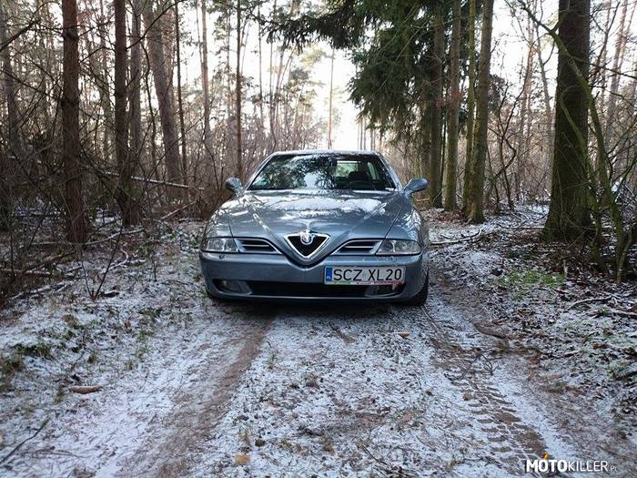 166 powodów do wyjazdu w las – Alfa Romeo 166 2.4jtd 