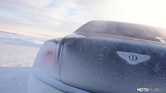 Bentley tańczący na śniegu –  