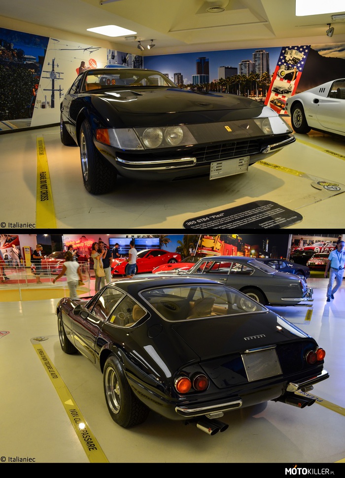 Ferrari 365 GTB/4 &quot;Plexi&quot; – Wersja z pierwszych lat jego produkcji. Przednie reflektory były chronione osłoną z plexy, co uniemozliwiało homologacje w Stanach Zjednoczonych. Dlatego w 1971 przeprowadzono facelifing, który obelmował chowające się reflektory. 
Pod maską pracuje widlasta dwunastka o pojemności 4390 cm³ (objętość skokową pojedynczego cylindra 365.8 cm³) i mocy 352 KM, prędkość maksymalna wynosi ponad 275 km/h 