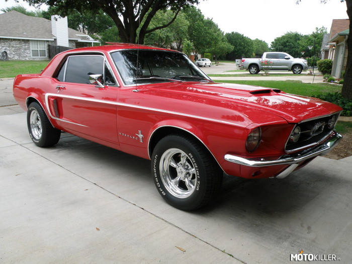 Ford Mustang z 1967 roku – Więcej zdjęć w źródle. 