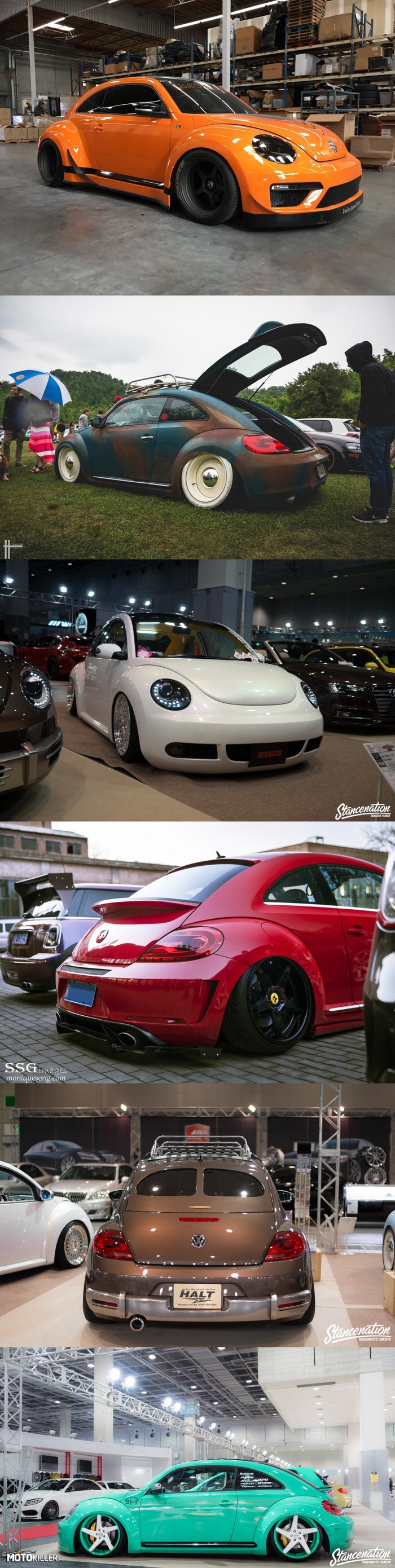 VW Beetle, New Beetle –  