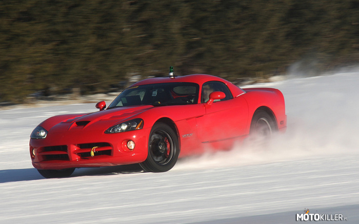 Dodge Viper - zabawa na śniegu – Bardzo charakterystyczne samochód, w tym przypadku podczas małej &quot;zabawy&quot; na śniegu. 