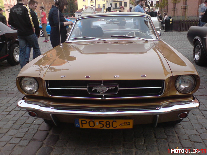 Po prostu bajeczne Mustangi – Kilka zdjęć ze wczorajszego Ogólnopolskiego Zlotu Mustangów w Toruniu. 