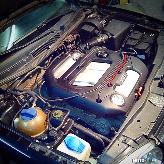 Serducho z mojego GTI-ka – 2.3 V5 z mojego Volkswagena Golfa IV GTI. 

Po więcej zdjęć zapraszam na Fb tam są prace nad odbudową samochodu. 

Link poniżej. 