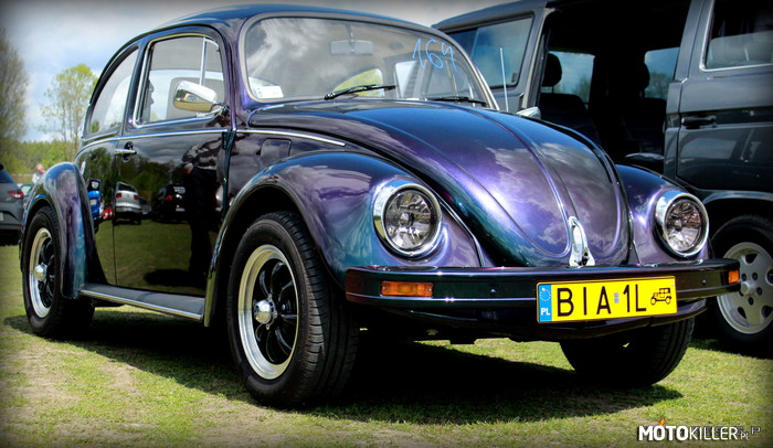 VIII Zlot VAG – Obiecany pełny okaz Volkswagen Beetle na żółtych. 