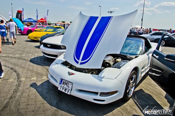 2x Corvette  3x Camaro  1x Mustang – American Combo at We Love Cars 2k15 