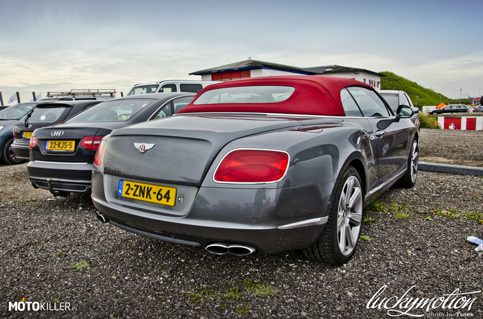 Bentley – Bentley upolowany w Holandii. 