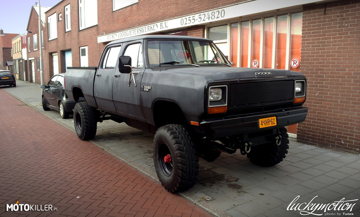 Dodge – Jeszcze jeden z pobytu w Holandii znaleziony na telefonie. 