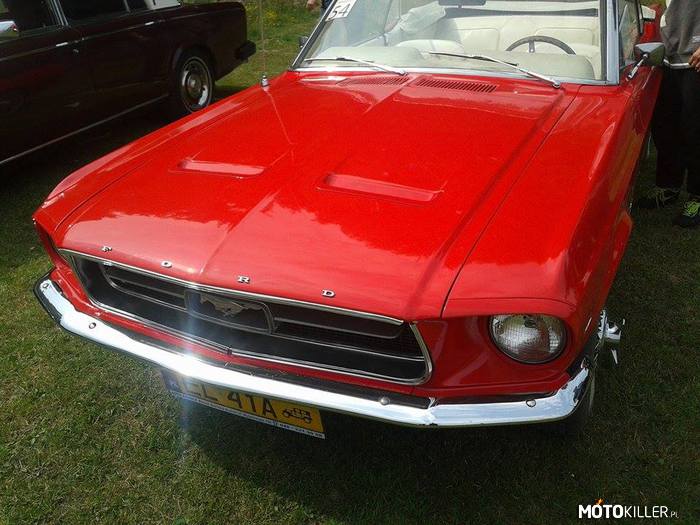 W czerwieni mu do twarzy – Mustang z &#039;67, V8 4.7l na Dniach Gałkówka 2015 