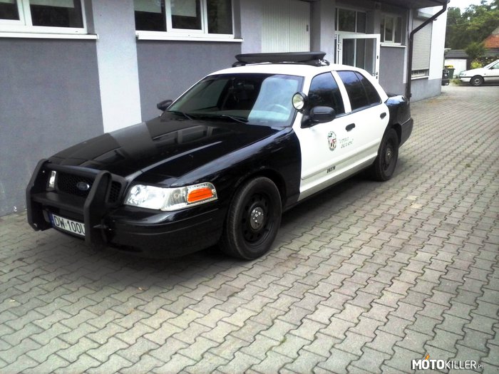 Ford Crown Victoria Police Interceptor – Oczywiście V8, w idealnym stanie, napotkany we Wrocławiu. 