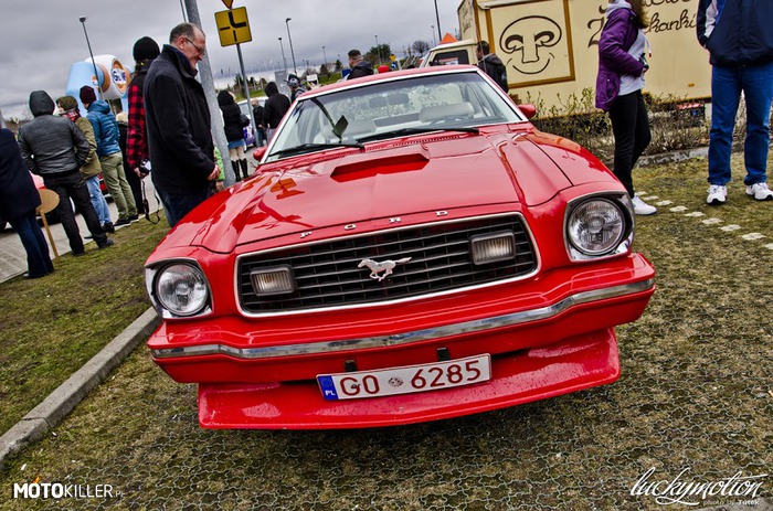 Ford Mustang –  