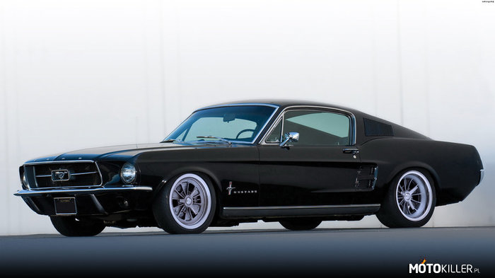 Mustang fastback –  