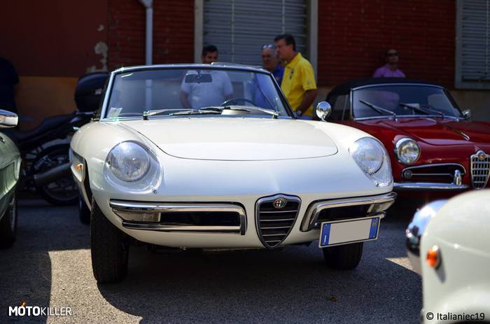 Alfa Romeo Giulia Spider Duetto – Pierwsza seria, z 1966 roku 