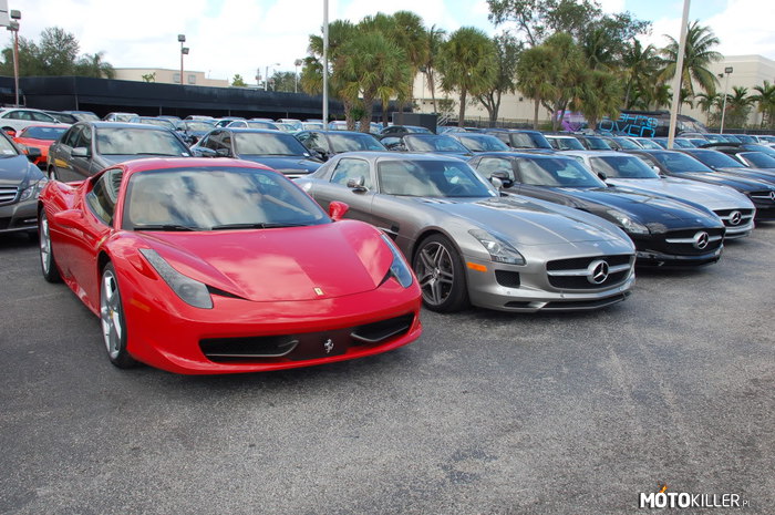 Auto handel w Miami –  