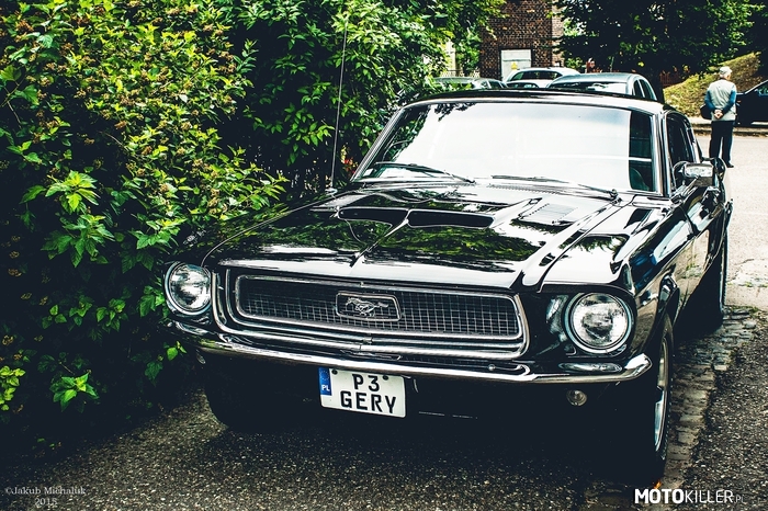 Ford Mustang – Rogoźno, lipiec &#039;14 