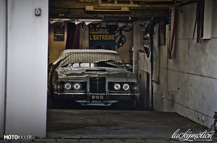 Garaże Holandii – W garażach poukrywane... ciekawe co jeszcze kryje Holandia w swoich garażach. 