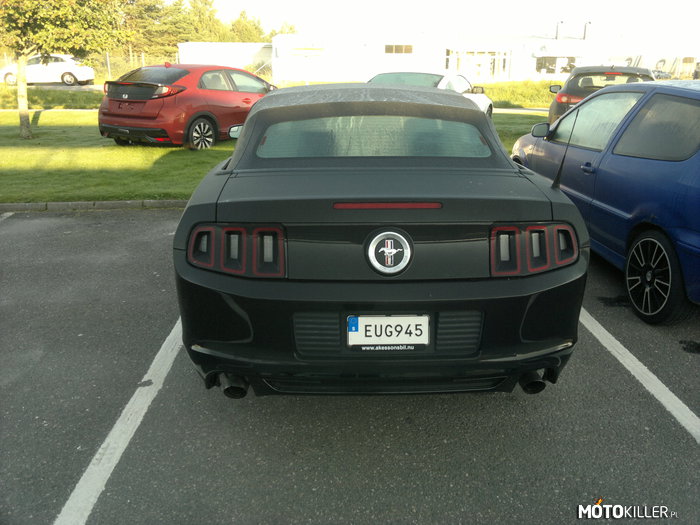 Mustang – Piękny Mustang spotkany w Szwedzkim salonie. 