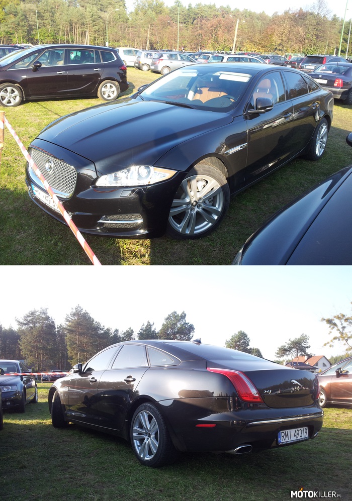 Jaguar XJ – Spotkany w Mielcu 