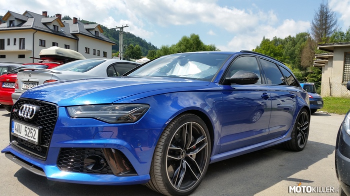 Audi spotkane w Bieszczadach –  