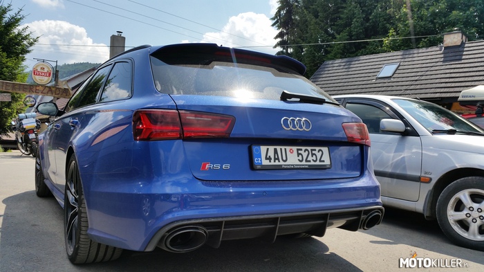 Spotkane w Bieszczadach Audi tył –  