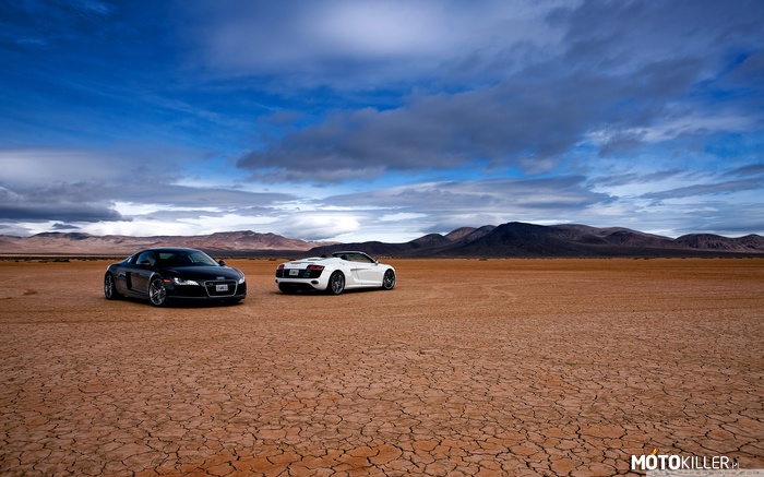 Audi R8 – Tego tu jeszcze nie widziałem, dwie r-ósemki na pustyni. 