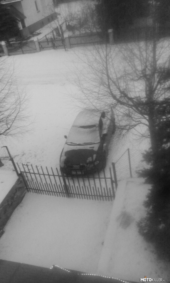 Audi – Spadł śnieg. Mi swięto podoba. 