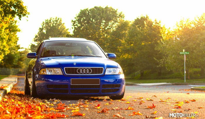 Audi w jesiennej scenerii –  