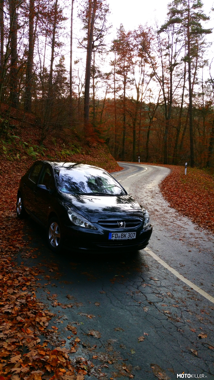 Peugeot 307 – Jesiennie 