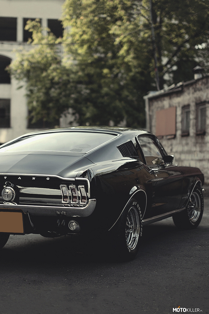 67 Ford Mustang Fastback –  