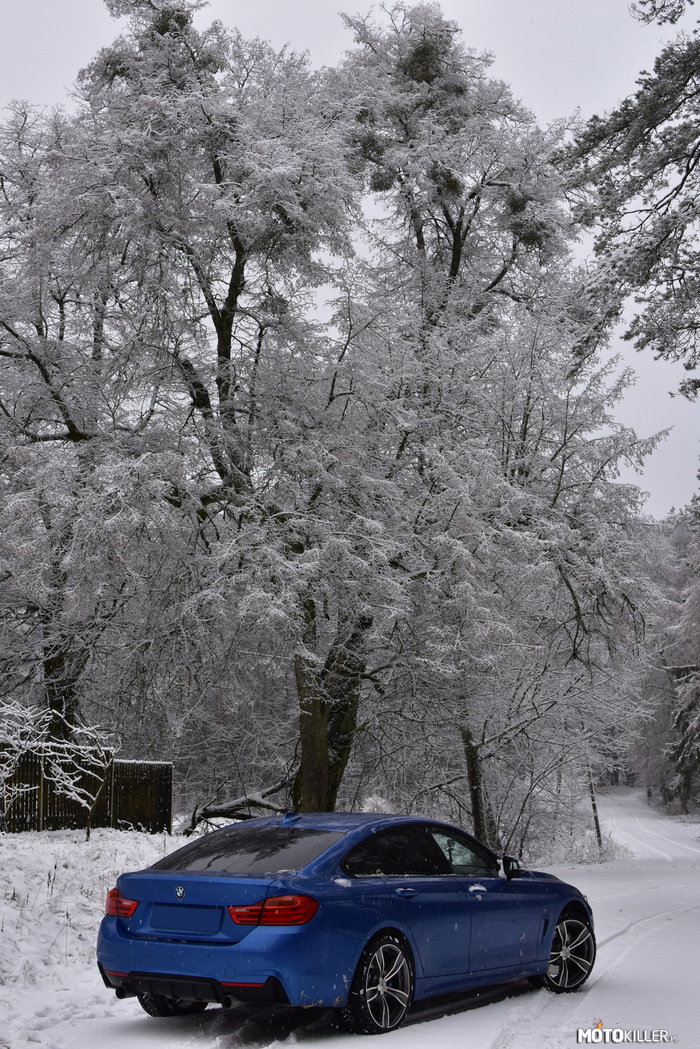 MMM - czyli - Moja &#039;druga&#039; Miłość Motoryzacja – Moje BMW 428i M-performance na zimowym szlaku. 