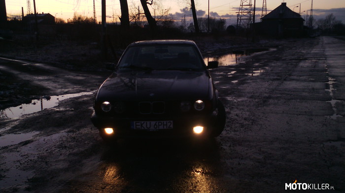 BMW E34 – Mordka po zdjęciu ringów. 