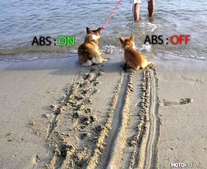 ABS –  