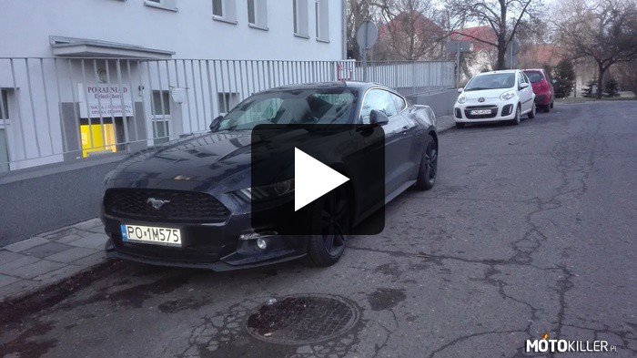 Ford Mustang 2015 – Czyli Spotted Bydgoszcz ciąg dalszy. 