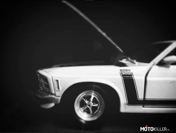 Ford Mustang Boss 302 1/24 –  