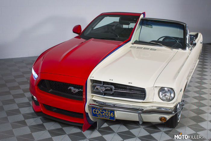 Z okazji 50 urodzin Mustanga – W National Inventors Hall of Fame Museum postawiono instalację porównującą pierwszego Mustanga z dzisiejszym Mustangiem. 
