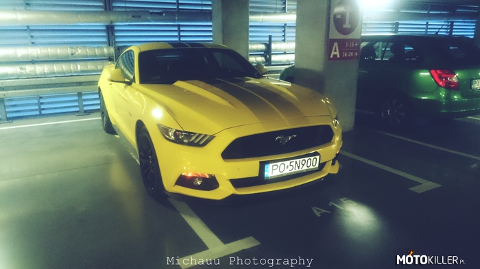 Ford Mustang 2015 5.0 – Zajmuję się spotami chcę się z wami trochę z nimi podzielić.

Instagram - Michauuphotography 