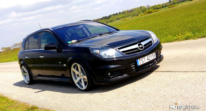 Opel Signum OPC Line na gwincie – Wiosna w moim daily. 