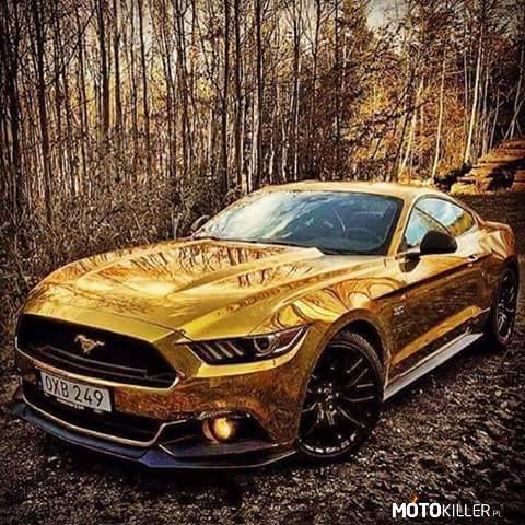 Złoty Mustang –  