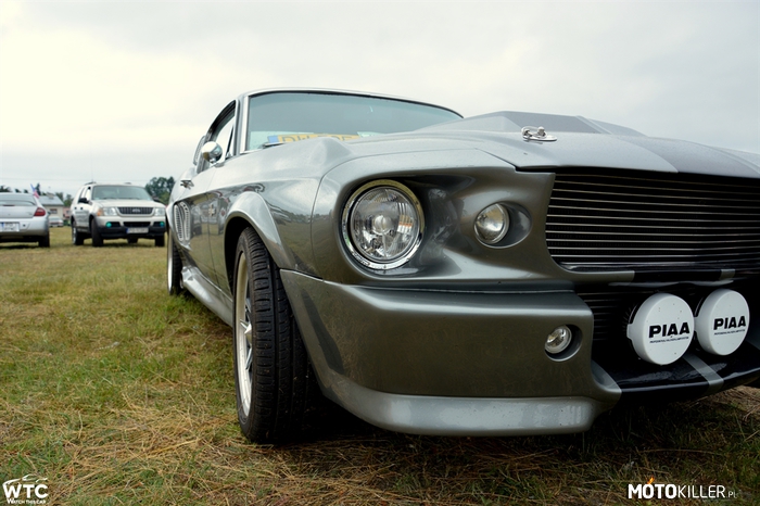 Ford Mustang Shelby GT500 1967 Eleanor Fastback –  