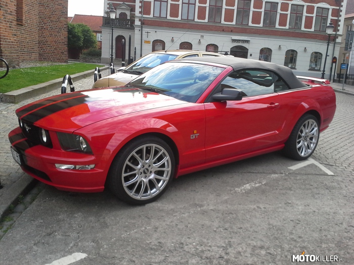 Mustang – Zobaczyłem go w Szwecji w Ystad podczas powrotu do Polski z pracy. No mają rozmach skur.... 