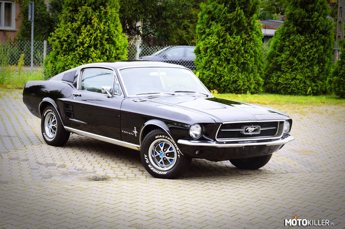 Ford Mustang Fastback 1967 –  