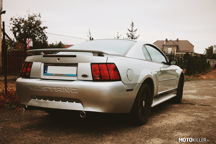 Mustang IV 3.8 – Mój Mustang 