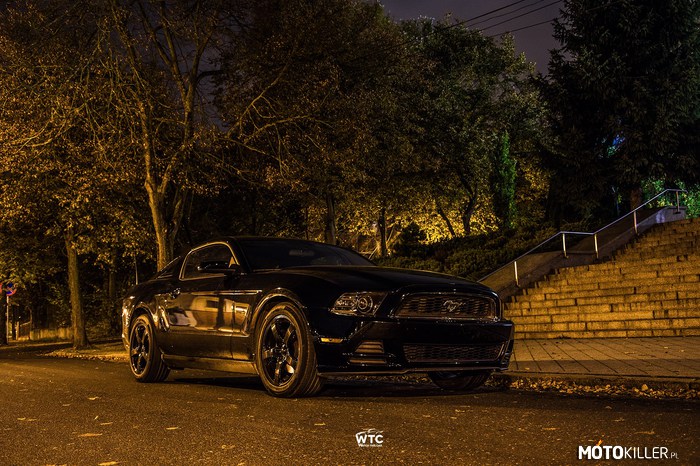 Piątkowy wieczór w towarzystwie Mustanga –  