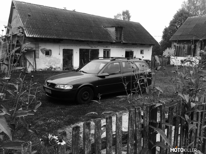 Opel Vectra B – Opel ma 22 lat stan idealna  nie ma problem silnik oraz ma przebieg 450 tys benzyna 1.6 16v !! rok produkcji 1995 