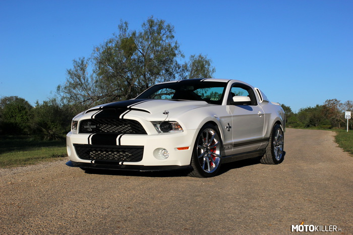 Shelby GT500 –  