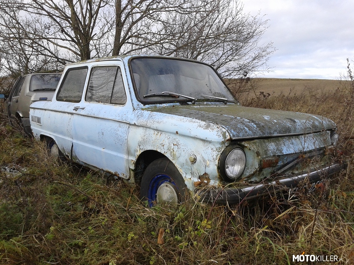 Zaporożec 968M – Rzadko spotykany radziecki samochód dla ludu. Nieźle spatynowany wrasta wiele lat na jednym z wiejskich podwórek. 