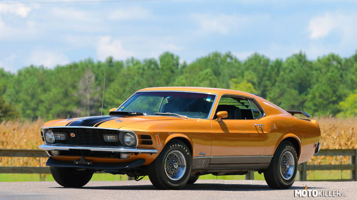 Ford Mustang Mach 1 Fastback –  