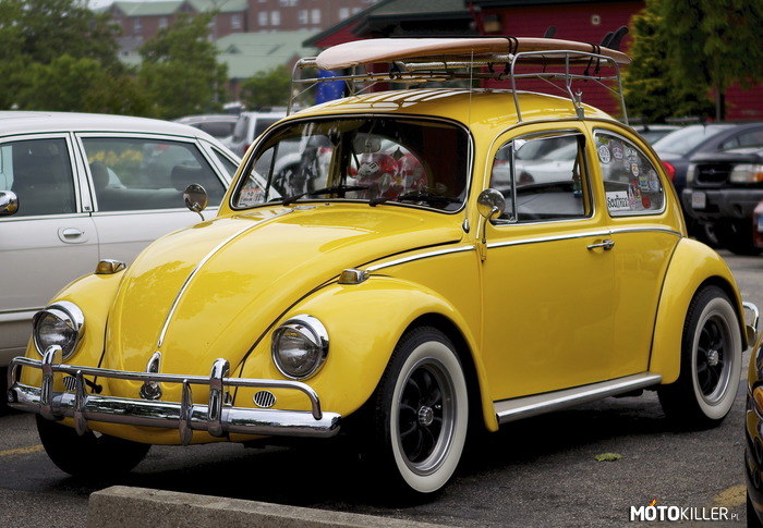 VW Beetle –  